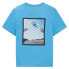 Фото #2 товара TOM TAILOR Regular Artwork T-shirt