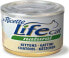 Фото #1 товара Life Pet Care LIFE CAT pusz.150g KITTEN CHICKEN LA RICETTE /24