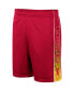 Фото #3 товара Men's Cardinal USC Trojans Lazarus Shorts