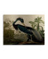 Фото #1 товара John James Audubon Louisiana Heron Floating Brushed Aluminum Art - 22" x 25"