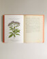 Фото #4 товара Atlas de poche des plantes champs, des prairies et des bois sér 2 book