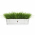 Фото #5 товара Ящик для цветов Elho Planter White Plastic 70 см