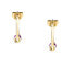 Decent gold-plated hoop earrings Colori SAXQ10