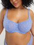 Фото #1 товара Ivory Rose Curve B-G mesh spot balconette bra in blue