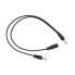 Фото #1 товара Rockboard DC2 S Flat Daisy Chain Cable 0,3 m