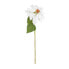 Фото #2 товара Искусственные цветы SIA Белый Стебель Пуансеттии 89 см