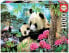 EDUCA BORRAS Puzzle 1000 Pieces Panda Bears
