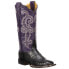 Фото #2 товара Lucchese Annalyn Crocodile Embroidery Square Toe Cowboy Womens Black, Purple Ca