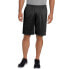 Фото #4 товара Шорты спортивные Champion Logo Trendy_Clothing Casual_Shorts