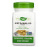 Astragalus Root, 1,410 mg, 100 Vegan Capsules (470 mg per Capsule)
