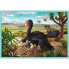 Фото #4 товара TREFL Dinosaurs 10 In 1 Set puzzle