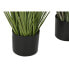 Фото #2 товара Декоративное растение Home ESPRIT PVC полиэтилен 35 x 35 x 120 cm (2 штук)