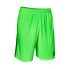 Select Brazil U goalkeeper shorts T26-15791 green