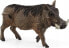 Фото #1 товара Фигурка Schleich Фигурка Warthog Wild Life (Дикая Жизнь)
