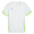 PUMA Individual short sleeve T-shirt