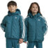 Фото #2 товара ADIDAS ORIGINALS Adicolor Padded Jacket