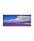 Фото #1 товара Michael Blanchette Photography 'Cloud Bank Over Lavender Panorama' Canvas Art - 32" x 14"