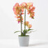 Фото #4 товара Künstliche pfirsichfarbene Phalaenopsis