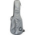 Фото #2 товара Ritter Carouge Electric Guitar 3/4 EG