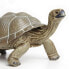 Фото #3 товара Фигурка черепахи SAFARI LTD Tortoise 2, Incredible Creatures®