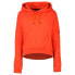 SUPERDRY Expedition Graphic Crop hoodie