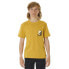 Фото #1 товара RIP CURL Surf Revival Line Up short sleeve T-shirt