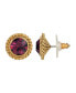 ფოტო #1 პროდუქტის Women's 14K Gold-tone Purple Small Round Stud Earrings