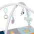 Фото #4 товара EUREKAKIDS Baby gym and play mat with 3 dolls included