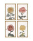 Фото #1 товара Chrysanthemum Framed Art, Set of 4