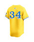 Фото #3 товара Nike Men's David Ortiz Gold Boston Red Sox City Connect Retired Player Jersey