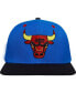 Men's Royal Chicago Bulls Any Condition Snapback Hat