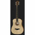 Taylor BT1 Baby Taylor Walnut