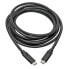 Фото #1 товара Tripp U420-010 USB-C Cable (M/M) - USB 3.2 - Gen 1 (5 Gbps) - Thunderbolt 3 Compatible - 10 ft. (3.05 m) - 3.05 m - USB C - USB C - USB 3.2 Gen 1 (3.1 Gen 1) - 5000 Mbit/s - Black