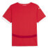 Фото #4 товара Puma Ofb Crew Neck Short Sleeve Home Soccer Jersey Replica Mens Red 77401001