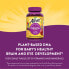 Alive! Prenatal with Plant DHA, Orange & Raspberry Lemonade, 90 Gummies