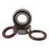 Фото #1 товара HOTRODS Husqv 250 Fc 14-23/KTM 250-350 Sx-F/Exc-F>23 Crank Shaft Bearing Kit