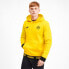 Фото #1 товара [755788-01] Mens Puma BVB FtblCulture Hoody