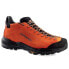 Фото #1 товара ZAMBERLAN 217 Free Blast Suede Goretex hiking shoes