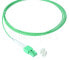 Фото #3 товара BlueOptics SFP8181GU1MK - 1 m - OM5 - LC - LC