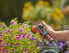 Фото #17 товара Насадка на шланг GARDENA Watering Sprayer Compact Garden Sprayer