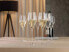 Фото #3 товара Champagnergläser Definition 2er Set