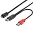 STARTECH USB 2.0 Micro B To Micro USB 91 cm USB Cable - фото #3