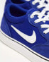 Nike SB Chron 2 canvas trainers in blue and white