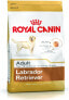 Royal Canin Labrador Retriever Adult karma sucha dla psów dorosłych rasy labrador retriever 12kg