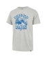 Men's Gray Distressed Detroit Lions Regional Franklin T-shirt