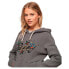 Фото #3 товара SUPERDRY Tattoo Script Graphic hoodie