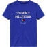 Фото #1 товара TOMMY HILFIGER Logo short sleeve T-shirt