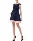 Фото #1 товара Maternity Nell Lace Trimmed Colorblock Dress