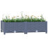 Фото #3 товара Raised Bed 31.5"x15.7"x9.1" Polypropylene