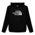 Фото #1 товара THE NORTH FACE Biner Graphic hoodie